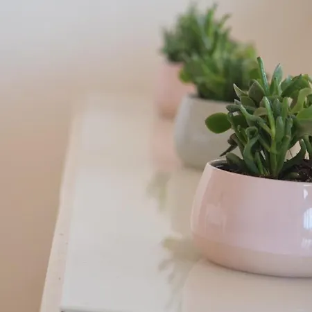 Villa Seafront In , Near Rome Torvaianica